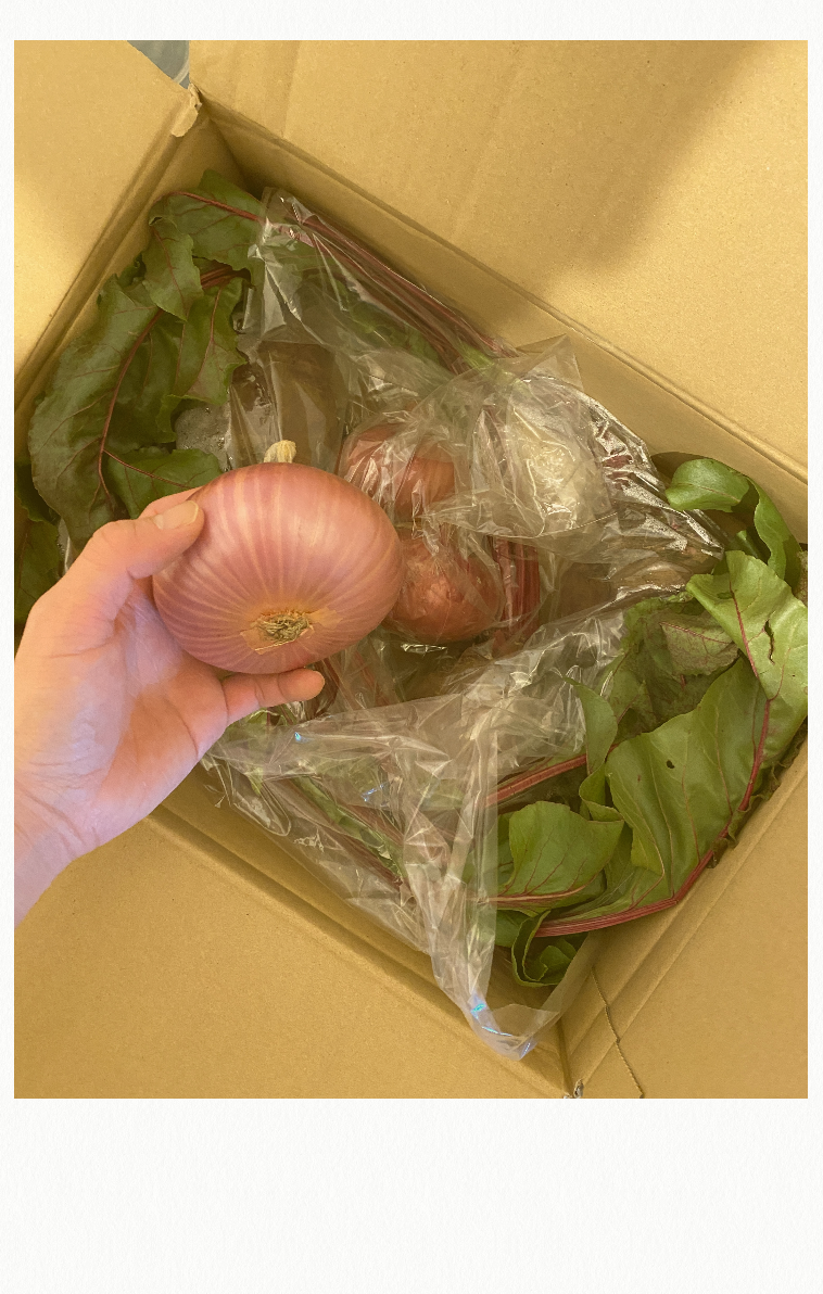 玉ねぎはおまけ