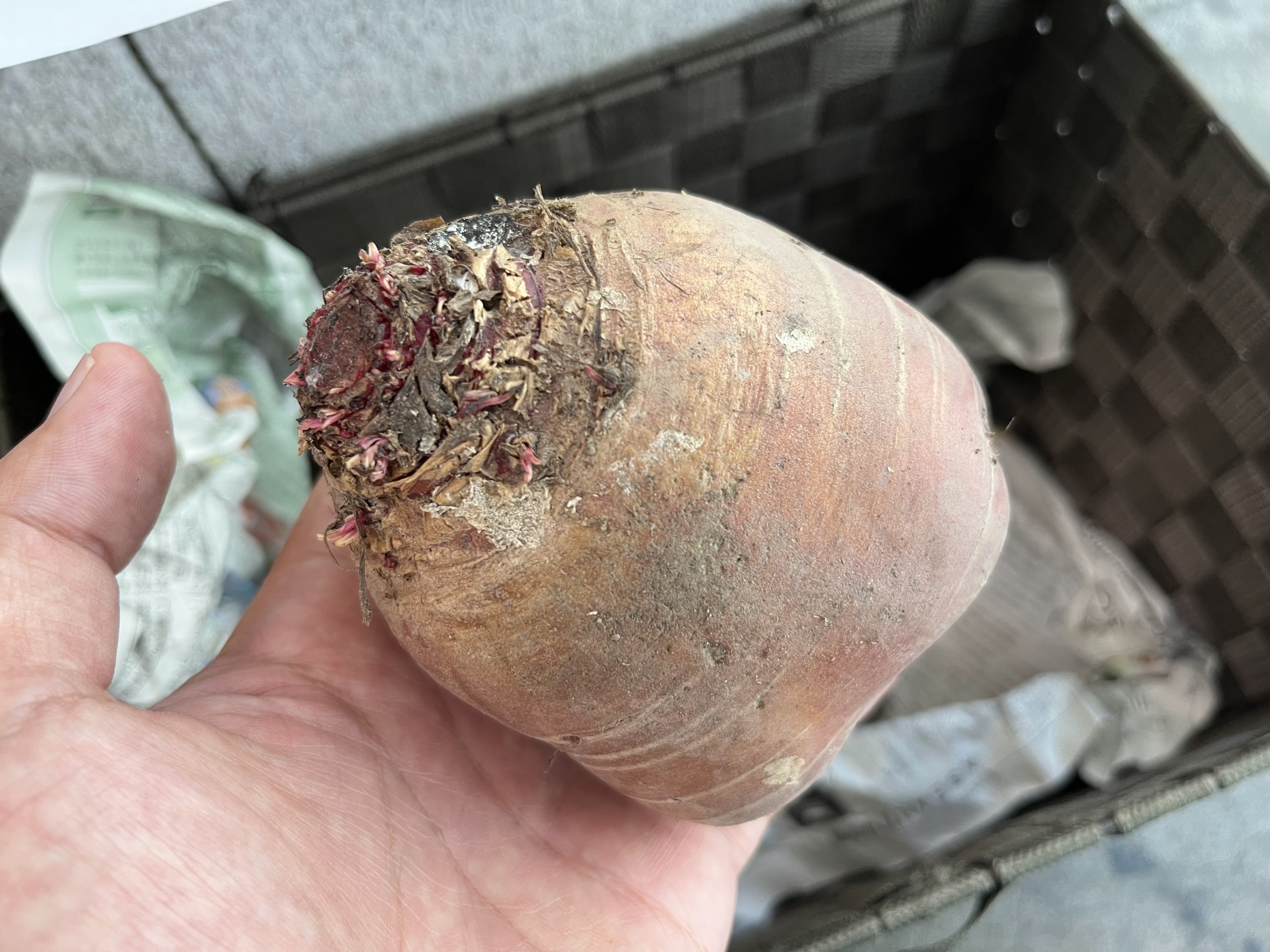 イベントの様子5